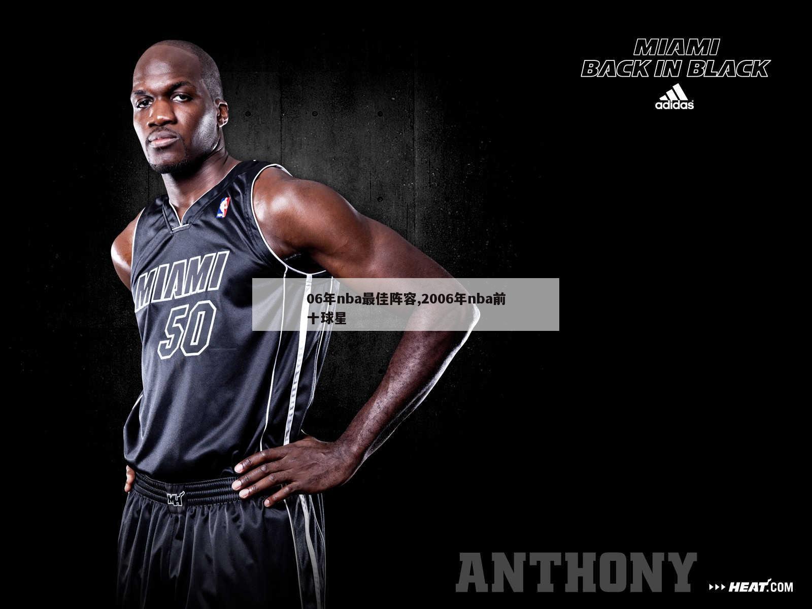 06年nba最佳阵容,2006年nba前十球星